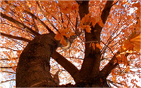 ddos攻击ip软件下载