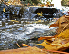 网站攻击软件工具